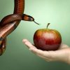 “Overcoming Temptation” (Genesis 3:1-6) this Sunday, 2pm at Valley Fellowship!